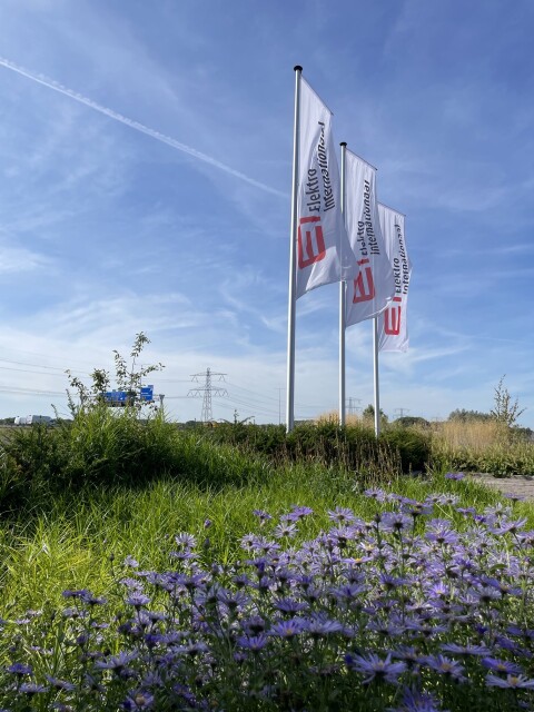 Flags Elektro Internationaal